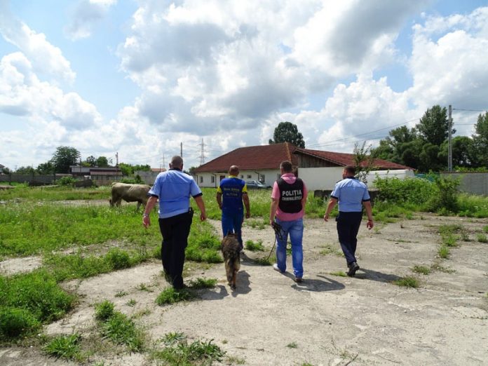 106127023_602062944074005_7661995749146748027_n