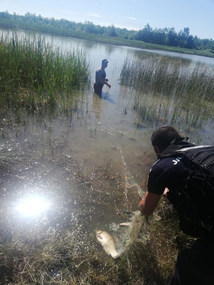 106218983_2659526650991587_4239791977828270625_n