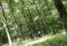 FOTO: Plecat la cules de ciuperci, un bătrân s-a rătăcit într-o pădure din Târgu-Cărbunești