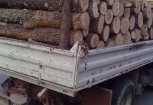 Lemne fără documente, confiscate de polițiști