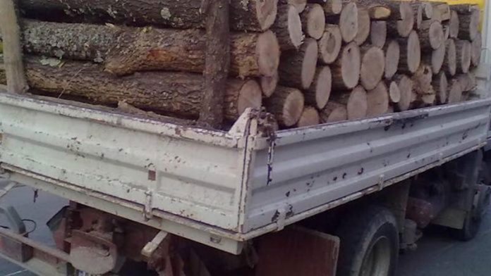 A315B110-C305-48A7-977E-A320D9B601B4-696x392