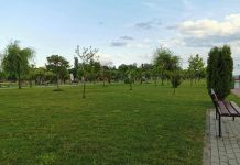Spațiile verzi din Târgu Jiu și Motru, verificate de comisarii Gărzii de Mediu