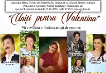 Spectacol caritabil, la Ionești