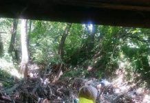 Societatea OMV Petrom, amendată pentru poluare la Bustuchin