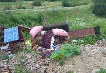 Și-au lăsat facturile în gunoi! Cetățeni din Peștișani, amendați de Poliția Locală