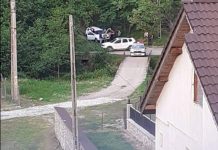 Polițiștii s-au urnit din loc și au cercetat pădurea din Sâmbotin!