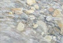 Garda de Mediu, în control la Primăria Novaci!