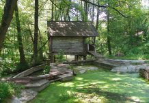 ODATĂ CU RELAXAREA HAIDEŢI SĂ DESCOPERIM – PARADISURI GORJENE