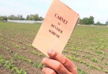 28 de rentieri gorjeni și-au vizat carnetele la APIA Gorj! Termen, 31 august!