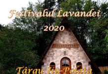 Ploile din ultimele zile au dus la reprogramarea Festivalului Lavandei de la Târgu-Jiu