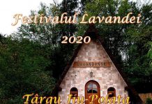 Festivalul Lavandei de la Târgu Jiu s-a reprogramat!
