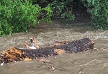 Dezastrul din Valea Jiului