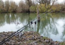 Prohibiție la pescuit, de azi