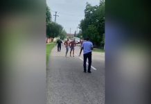 VIDEO: Percheziție la Stănești