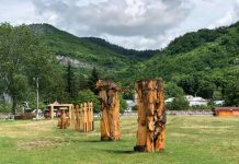 Se dă startul unei noi ediții a taberei de sculptură „Simboluri Dacice în Arta Lemnului din România”