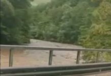 VIDEO: Jiul face prăpăd!