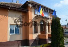 Post vacant de administrator public la Primăria Borăscu, scos la concurs