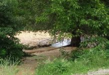 Foto: Puntea nouă, amplasată ieri la Gureni, luată de râul Bistrița!