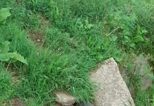 Consilier liberal din Vladimir, reclamat că deversează în stradă resturile din gospodărie!