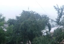 Video: Viitură la Vladimir, gospodării pline de apă, nicio măsură a autorităților!