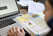 Pulsul noii generații/ Școala on-line