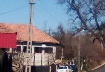 Mașina Primăriei Vladimir, la dispoziția cumnatului edilului local