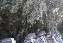 Accident cu trei răniți, provocat de un șofer de tir