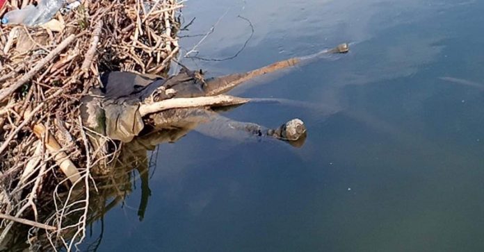 107707318_2676602409292422_7141801184628485295_n