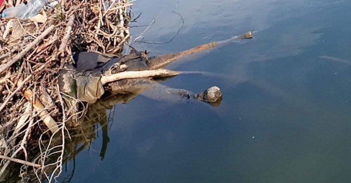 108591705_317287886111783_3156089199173472924_n