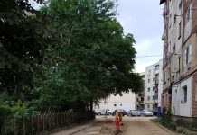 Start lucrărilor la canalizarea din zona Comuna din Paris!