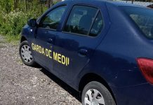 Amenzi de 310.000 de lei, aplicate de Garda de Mediu Gorj