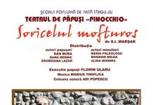 Invitație la teatru de păpuși