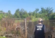 Verificări la o pensiune din zona Novaci