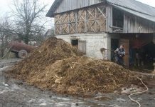 Agricultura pe înțelesul tuturor – Gunoiul de grajd – o comoară a fermierilor