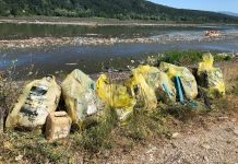 FOTO: Ecologizare la barajul de la Vădeni