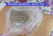 Șapte tineri arestați preventiv după descinderi