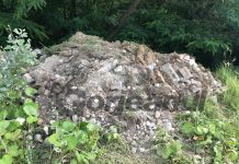 Primăria Fărcășești amendată pentru deșeuri aruncate în pădure! Consilier amenințat cu levierul!
