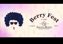 Festivalul Berry Fest de la Țicleni, amânat pentru data de 1 august
