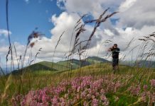 Mașini de off road, depistate de jandarmi pe pajiștea alpină din Runcu