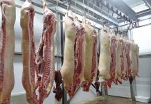 MADR dă bani pentru înființarea de abatoare în zonele montane