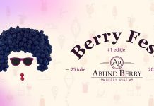 Ultimele pregătiri pentru Festivalul Berry Fest de la Țicleni