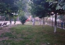 Dezinfecție și dezinsecție la Rovinari