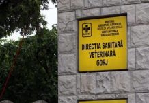 Amenzi de peste 43.000 de lei pentru mai multe restaurante și baruri din Gorj