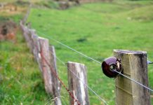 Bani pentru instalarea gardurilor electrice. Gorjul, pe listă!