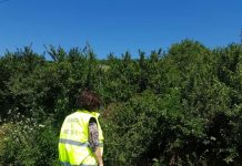 Medic veterinar, amendat cu 6.000 lei