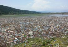 Sâmbătă, acțiune de ecologizare amplă pe Jiu și la barajul de la Vădeni