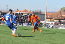 Pandurii, din nou în iarbă