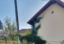 ,,Dorel” de la Vladimir a dat cu buldocupa în fața bibliotecii de a lăsat două cătune fără ,,cultură”!