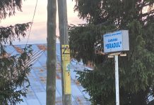 Cabana Bradul din Rânca, un monument de nepăsare a primarului Leuștean!
