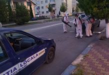 Dezinsecție la Rovinari